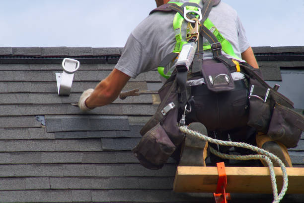 Best Roof Gutter Cleaning  in Hasson Heights, PA