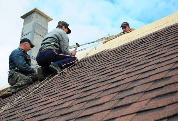 Best Roof Leak Repair  in Hasson Heights, PA